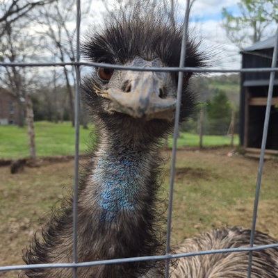 Hans profile picture