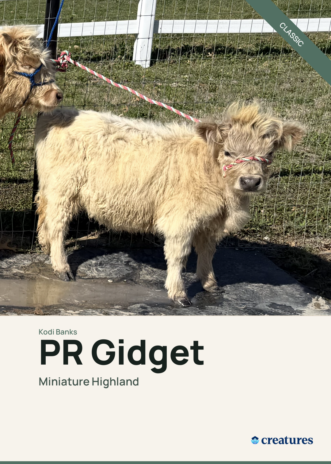PR Gidget Creature Card