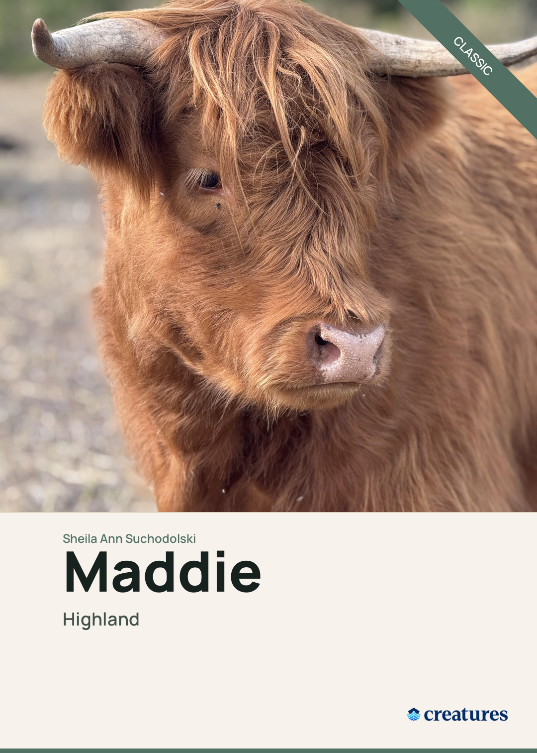 Maddie Creature Card