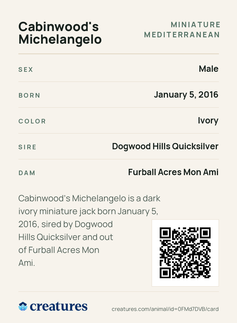 Cabinwood's Michelangelo Creature Card back