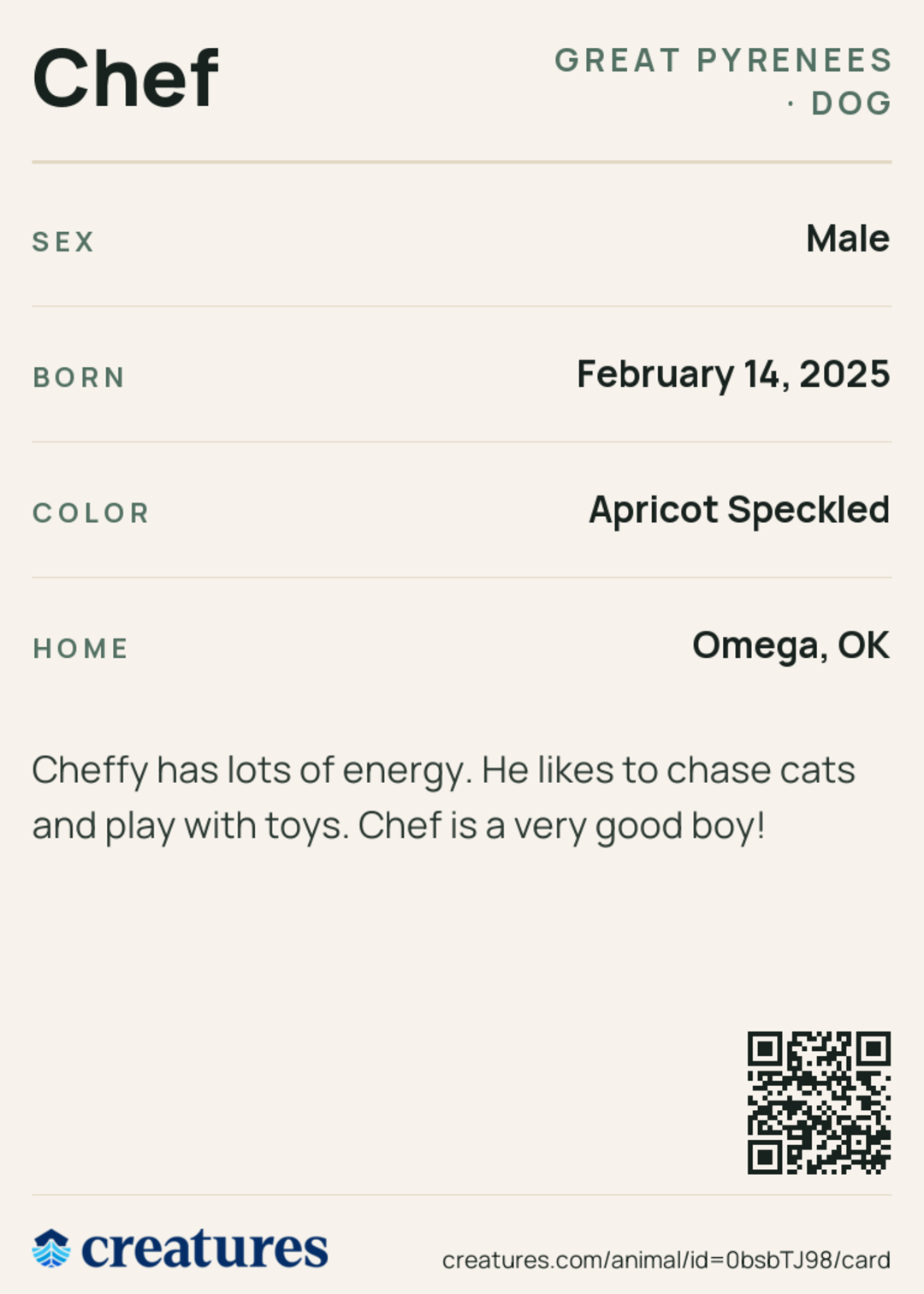 Chef Creature Card back