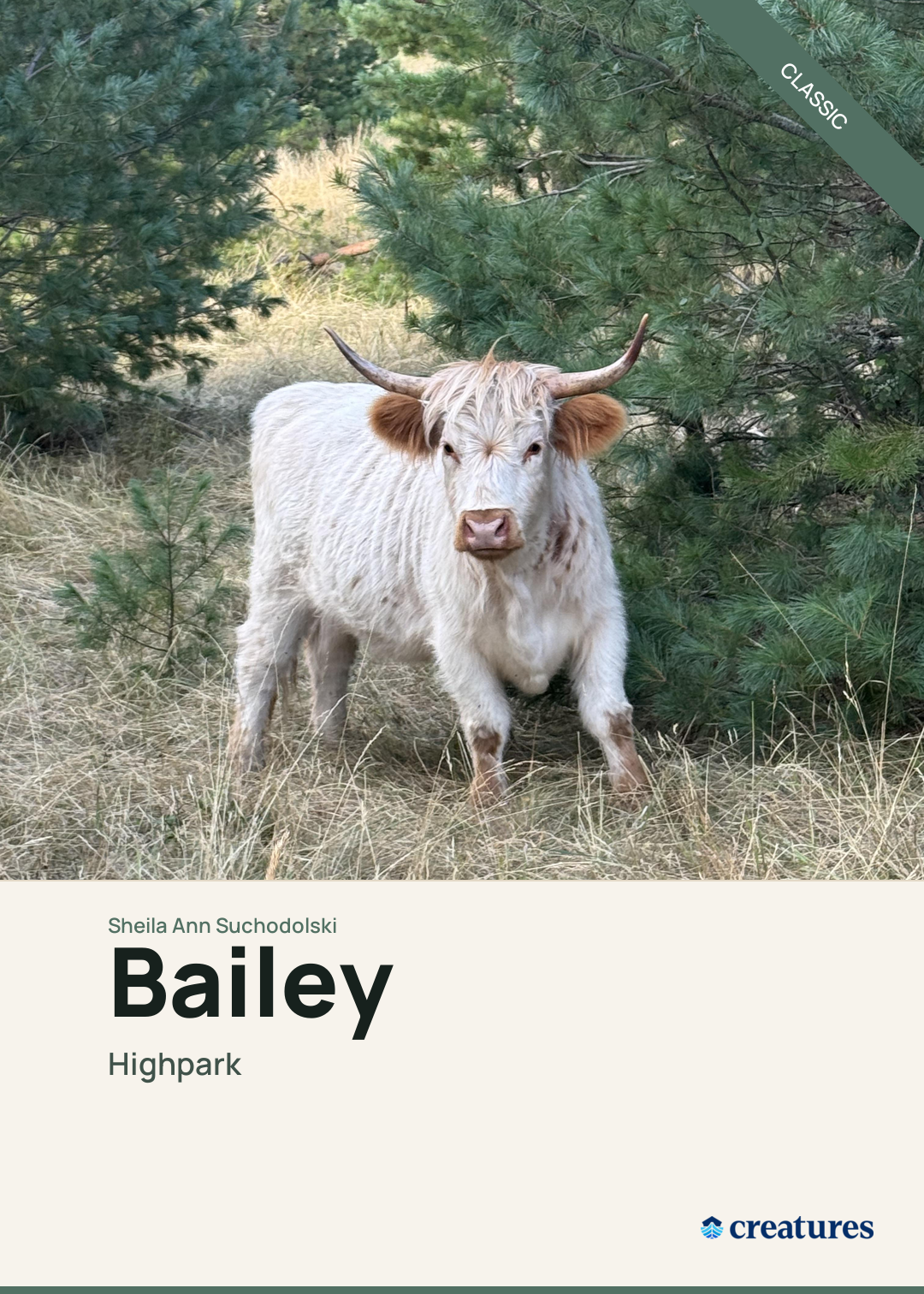 Bailey Creature Card
