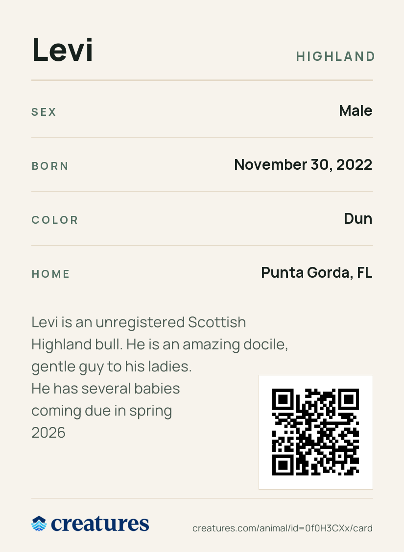Levi Creature Card back