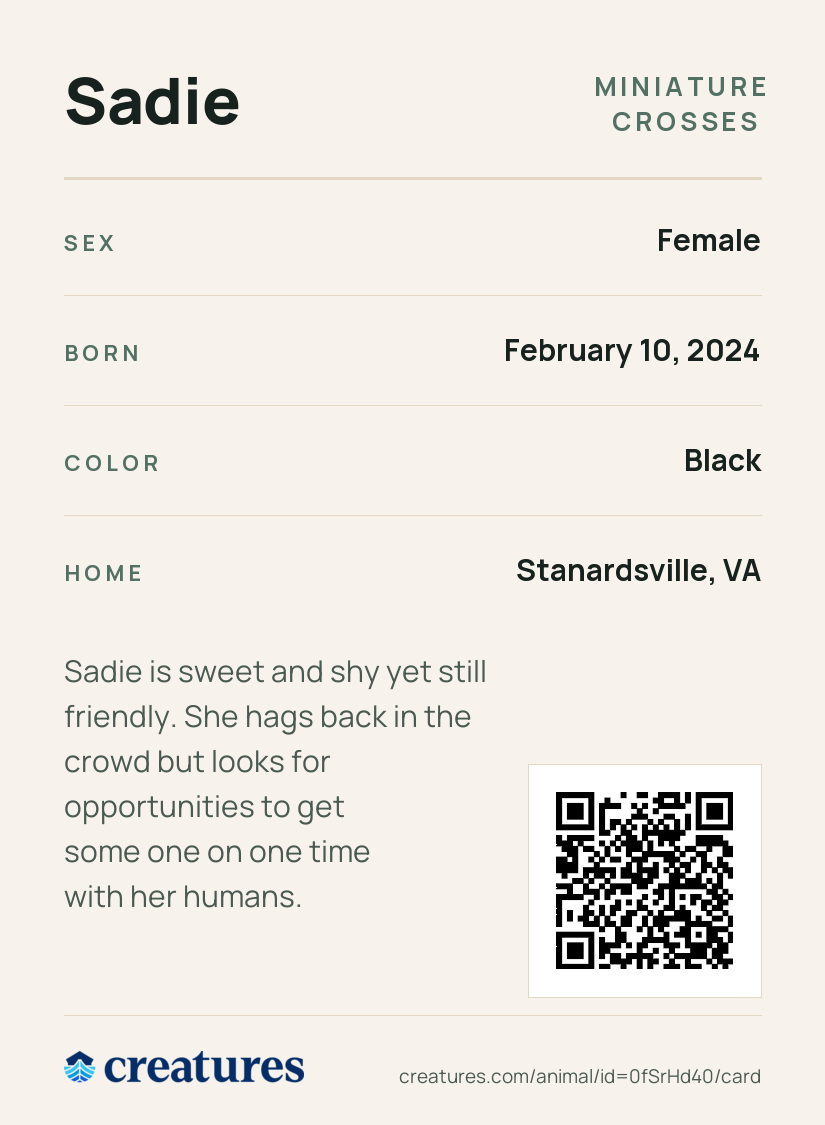 Sadie Creature Card back
