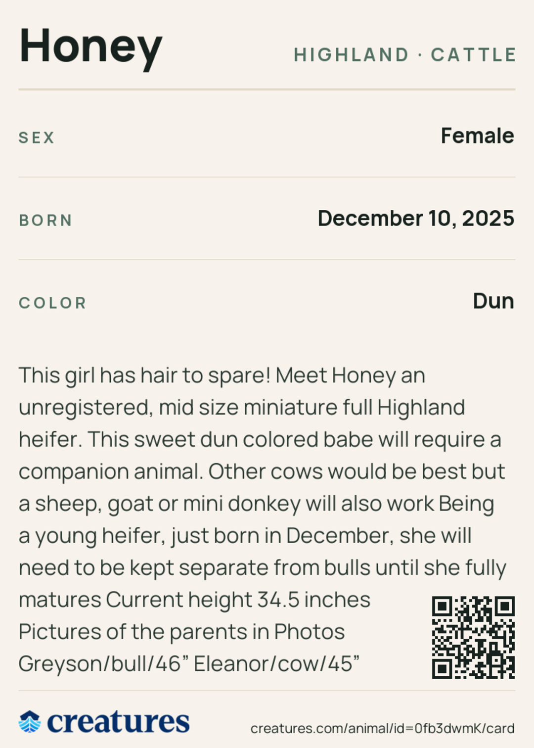 Honey Creature Card back