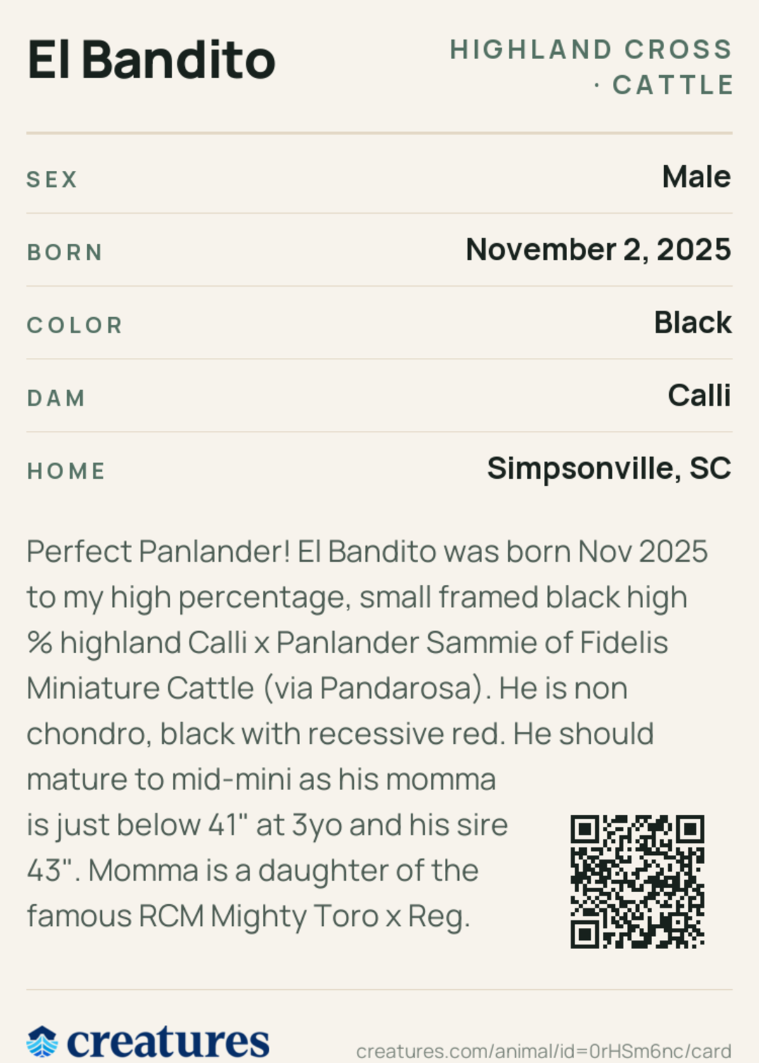 El Bandito Creature Card back