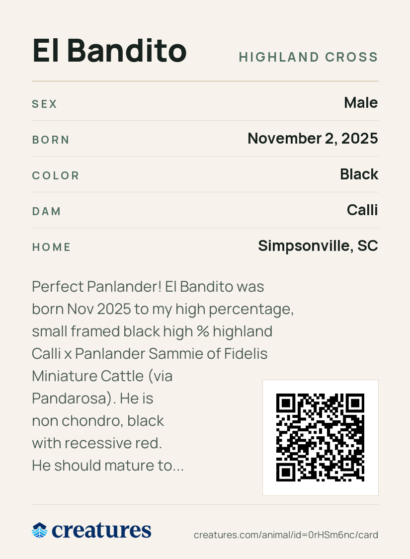 El Bandito Creature Card back