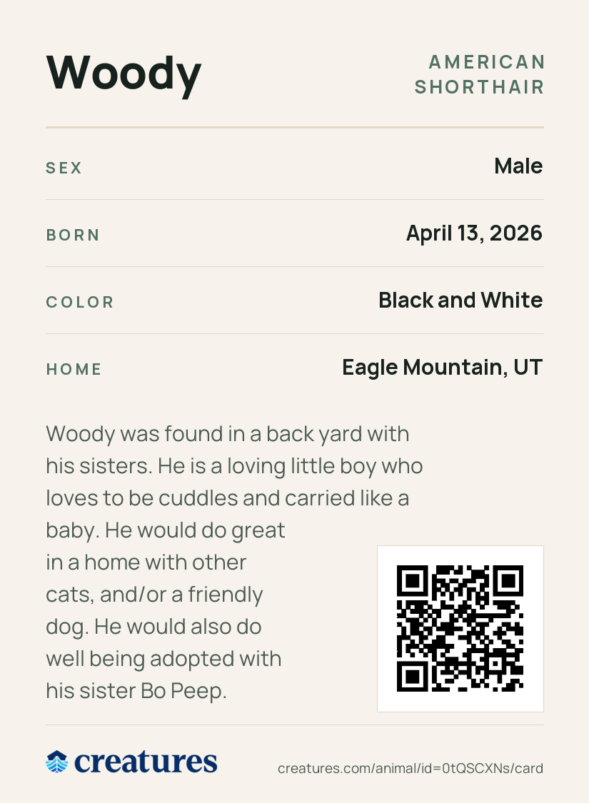 Woody Creature Card back