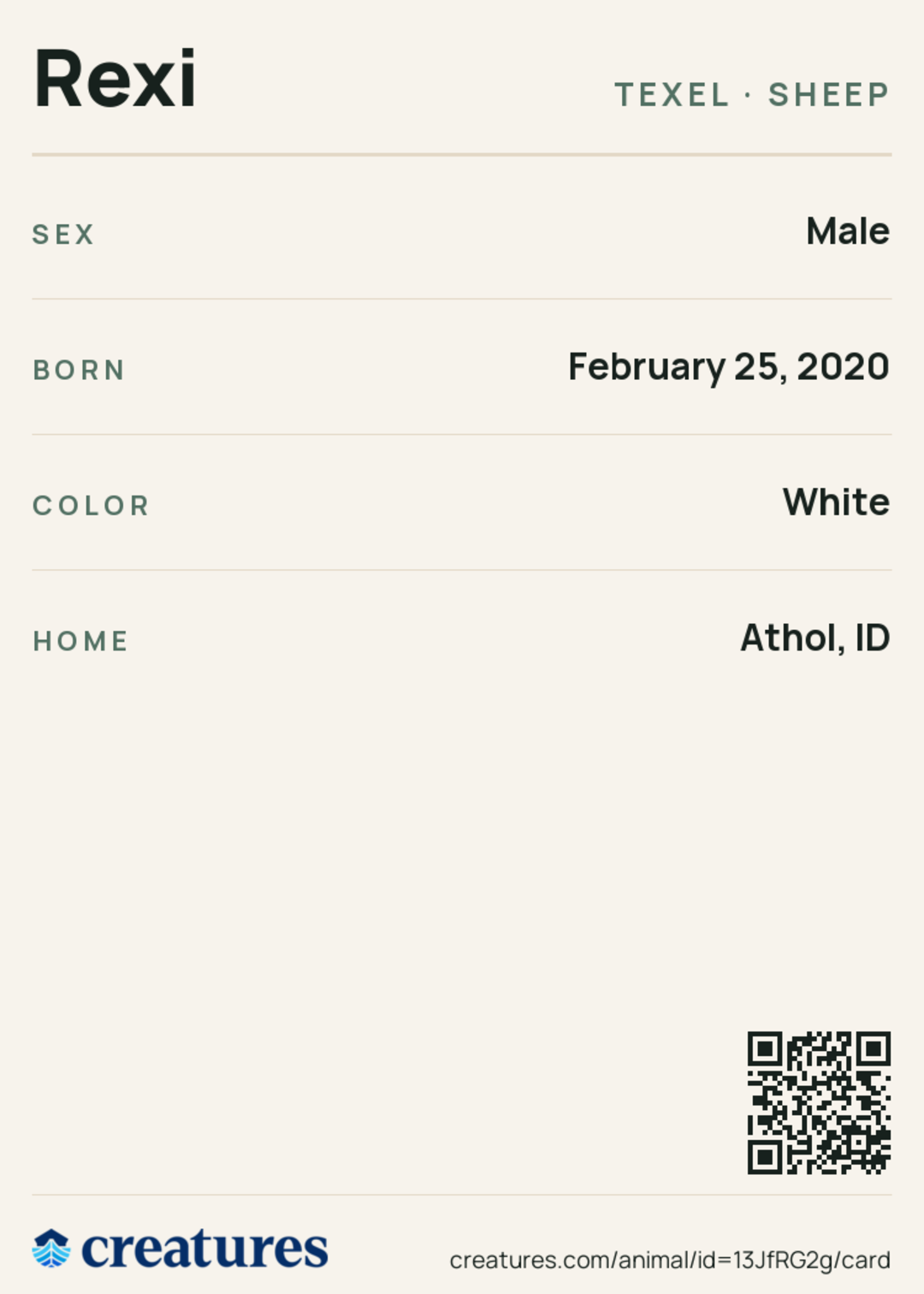 Rexi Creature Card back