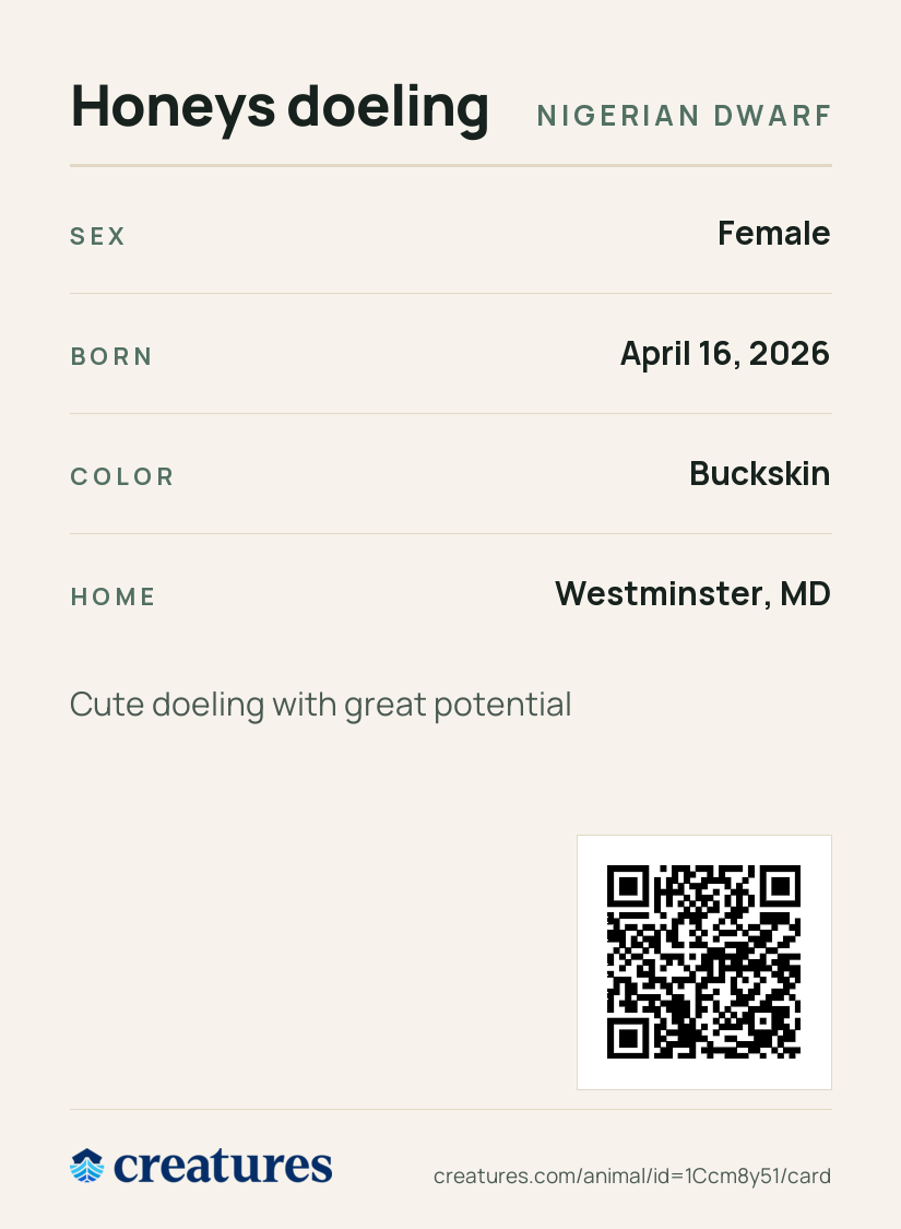 Honeys doeling Creature Card back