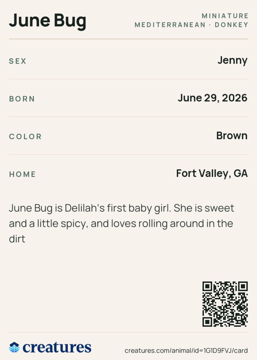 June Bug Creature Card back