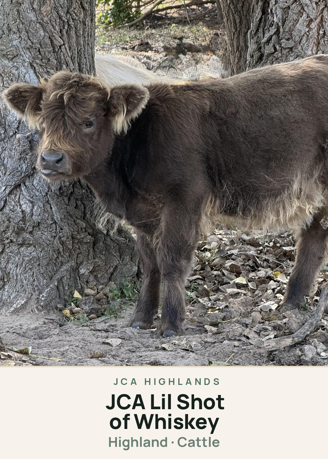 JCA Lil Shot of Whiskey Creature Card