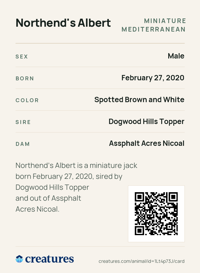 Northend's Albert Creature Card back