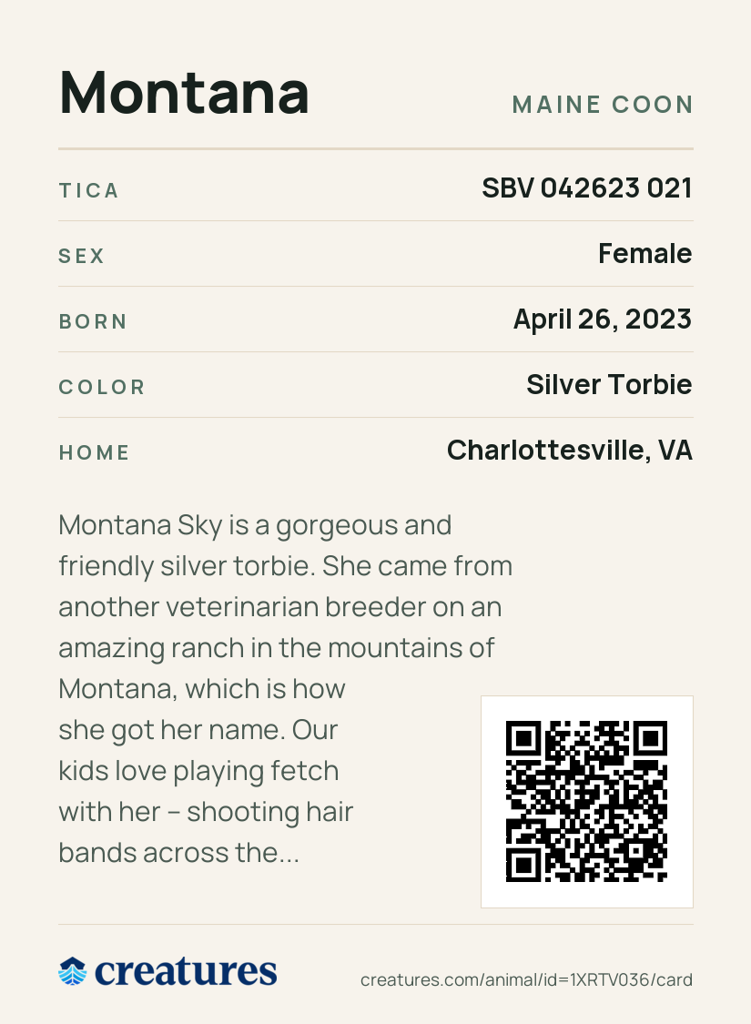 Montana Creature Card back