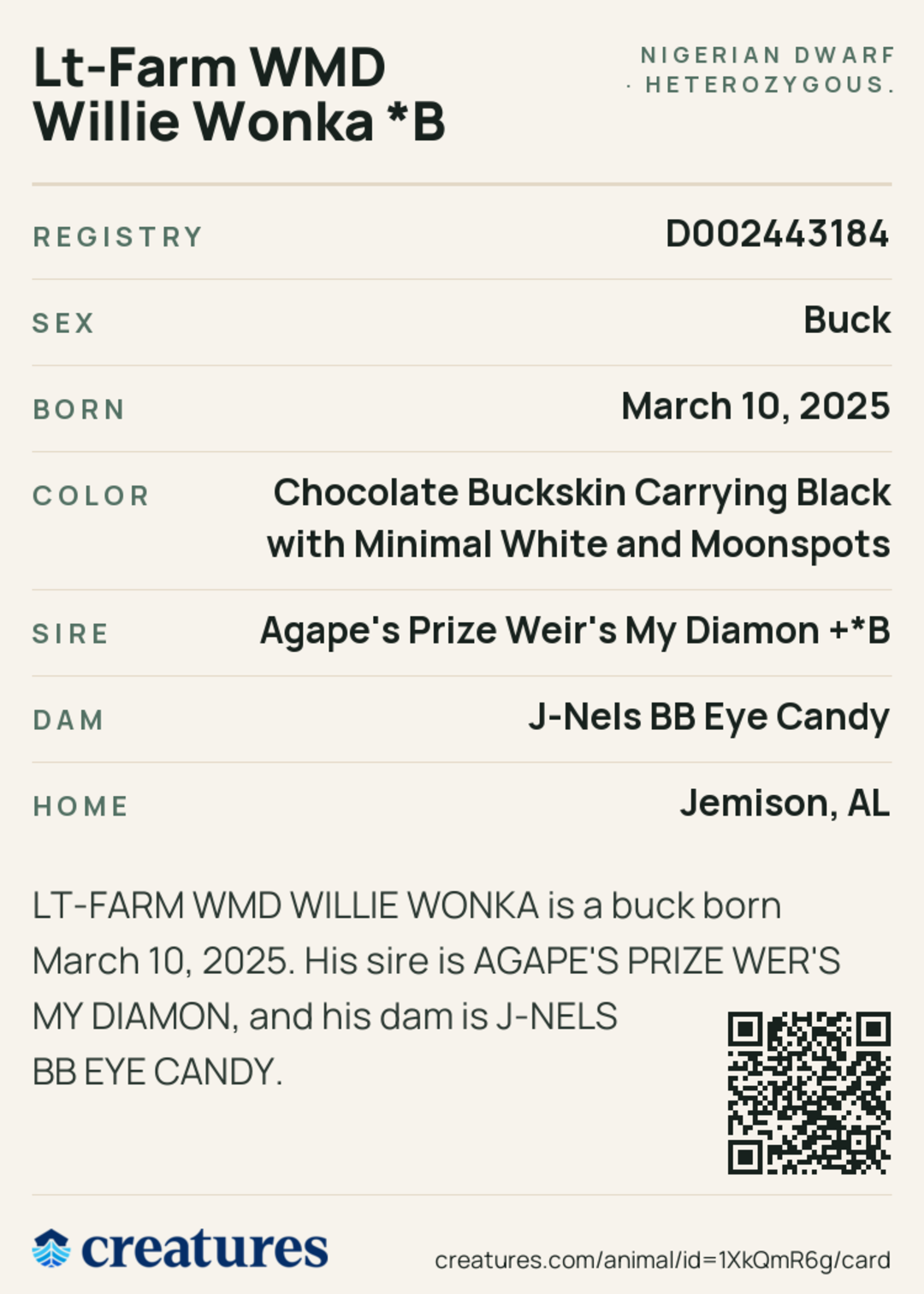 Lt-Farm WMD Willie Wonka *B Creature Card back