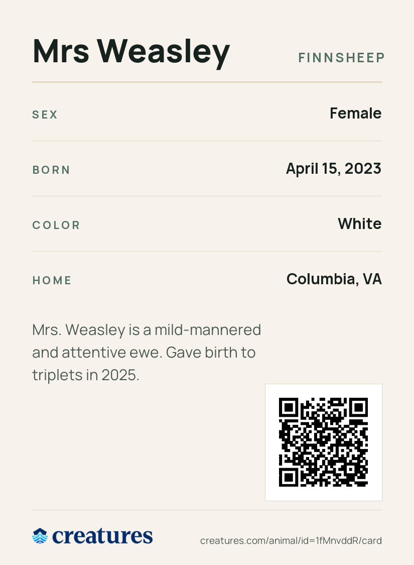 Mrs Weasley Creature Card back