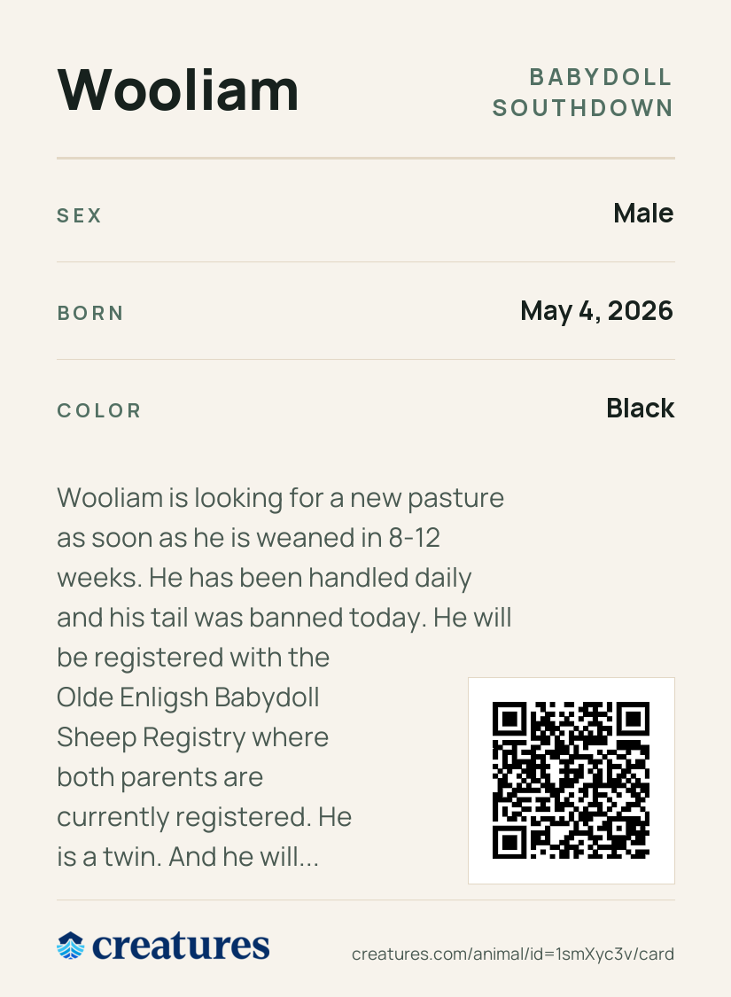Wooliam Creature Card back