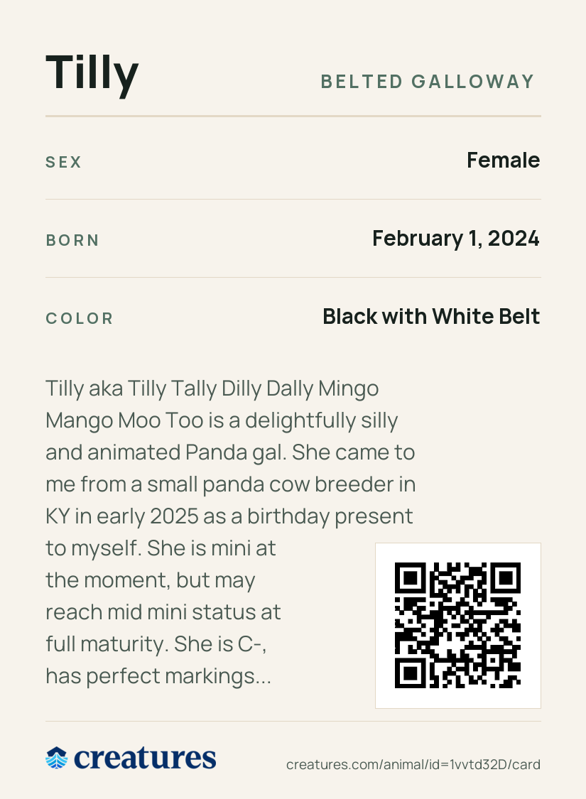 Tilly Creature Card back