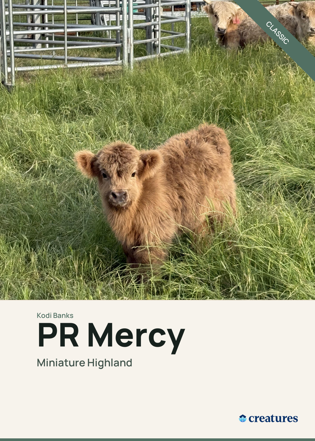 PR Mercy Creature Card