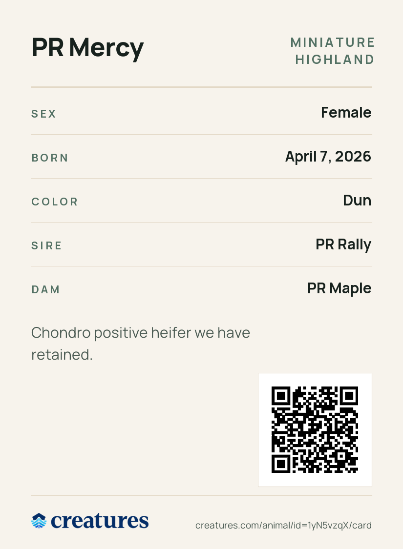 PR Mercy Creature Card back