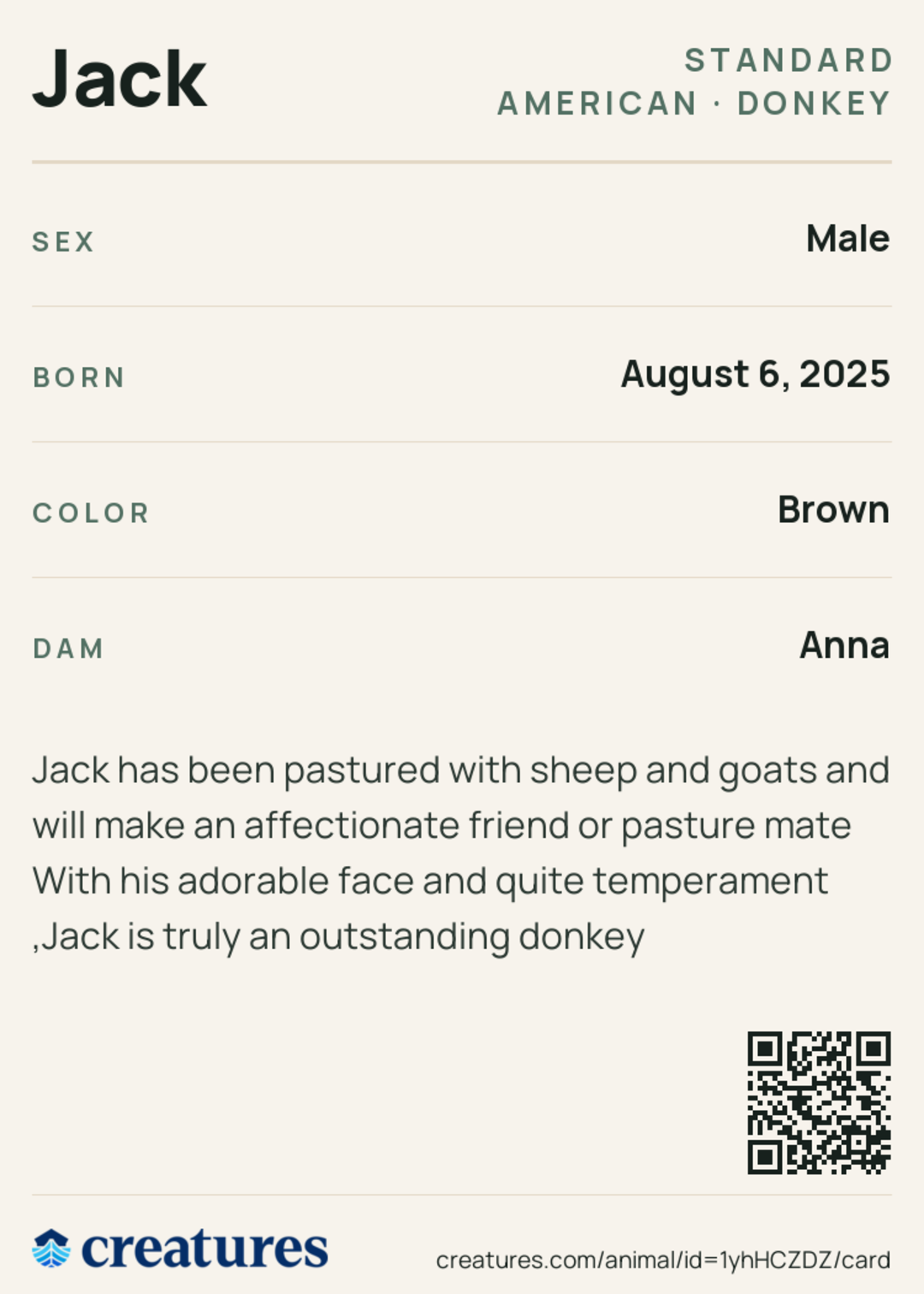 Jack Creature Card back