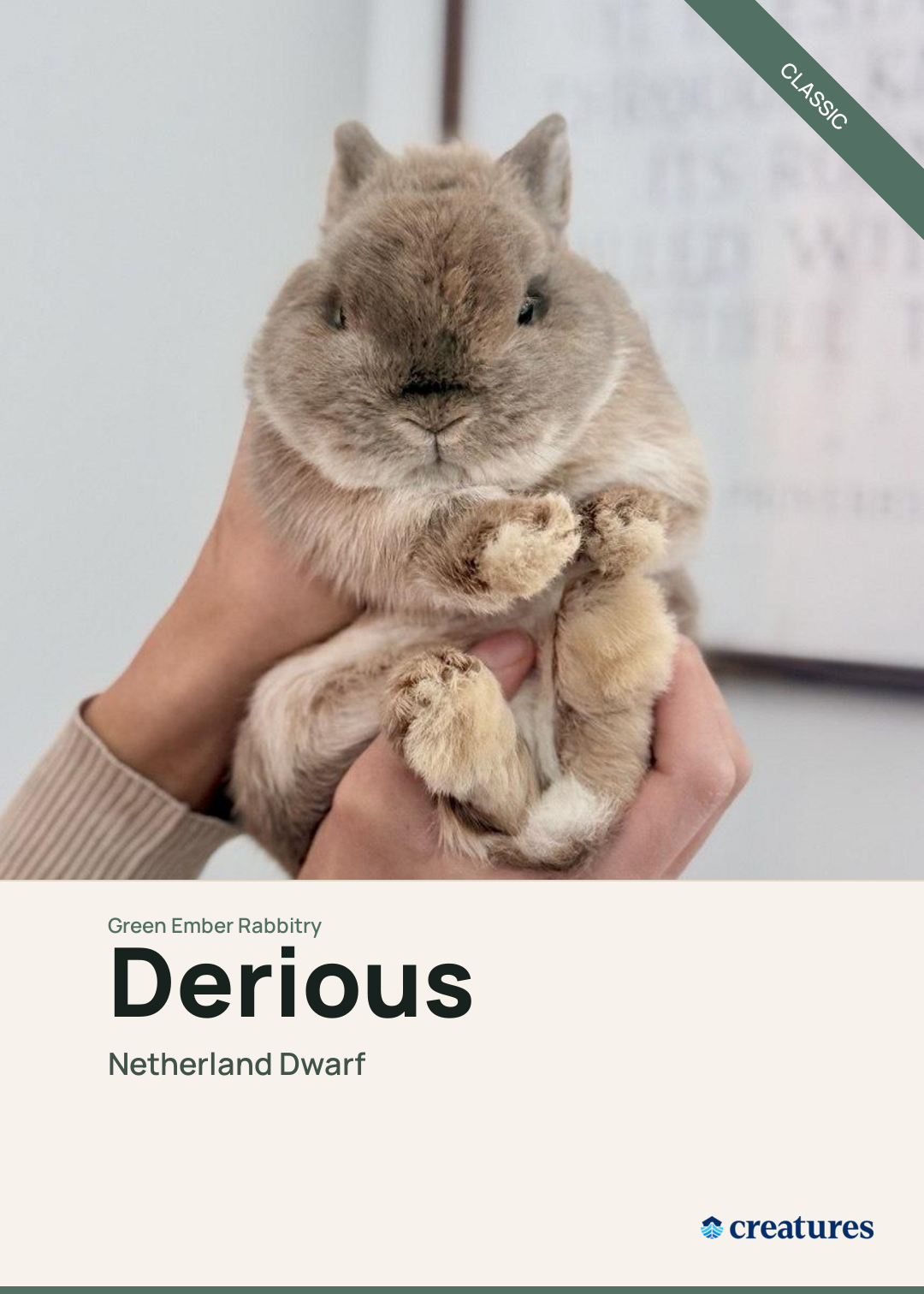 Derious Creature Card