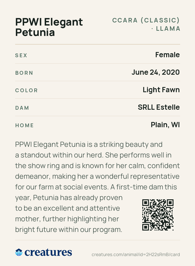 PPWI Elegant Petunia Creature Card back