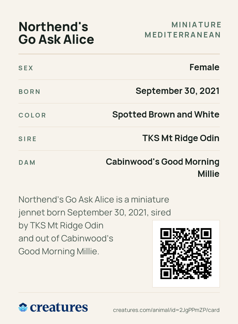 Northend's Go Ask Alice Creature Card back