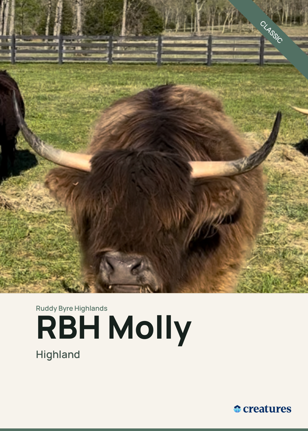 RBH Molly Creature Card