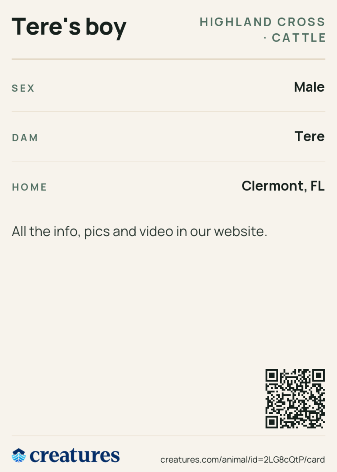 Tere's boy Creature Card back