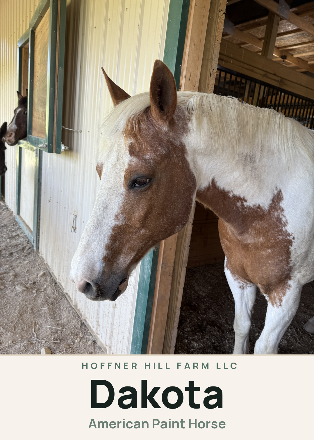 Dakota Creature Card