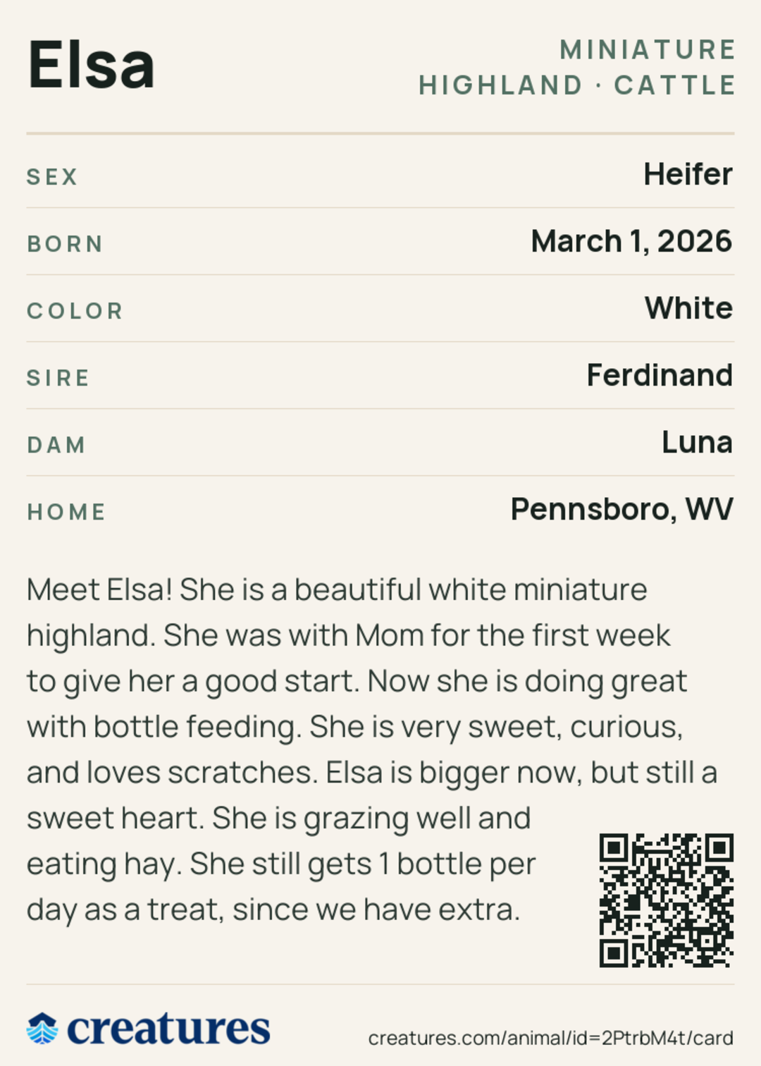 Elsa Creature Card back