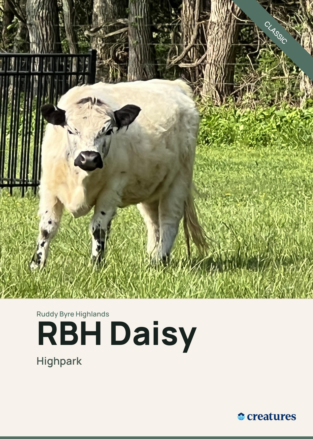 RBH Daisy Creature Card