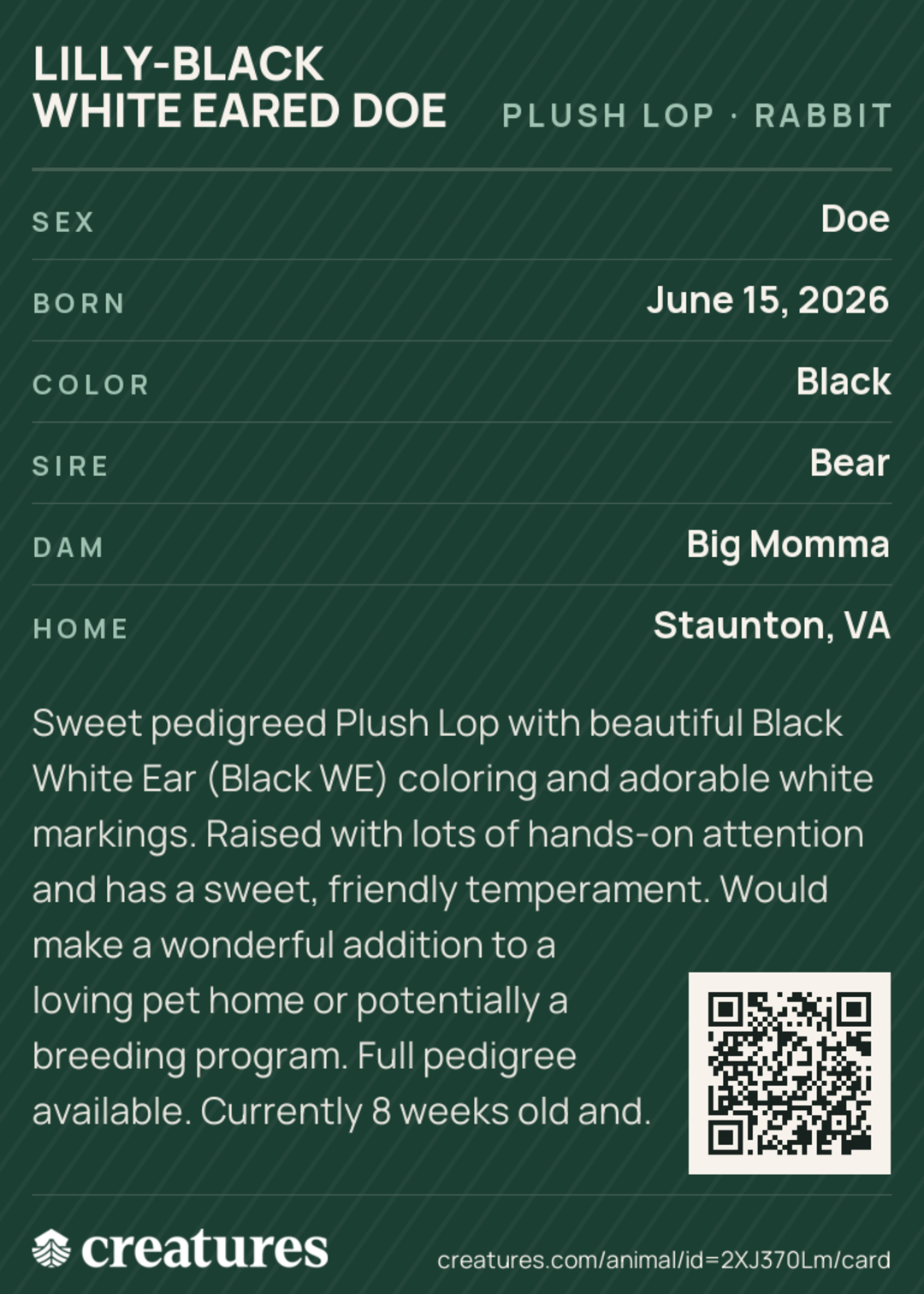Lilly-Black White Eared Doe Creature Card back