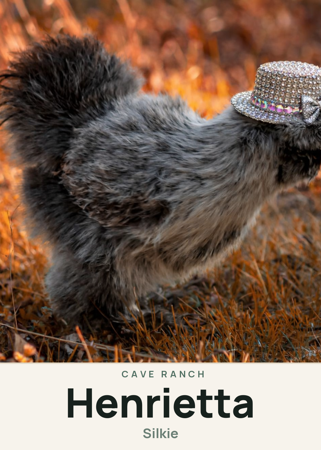 Henrietta Creature Card