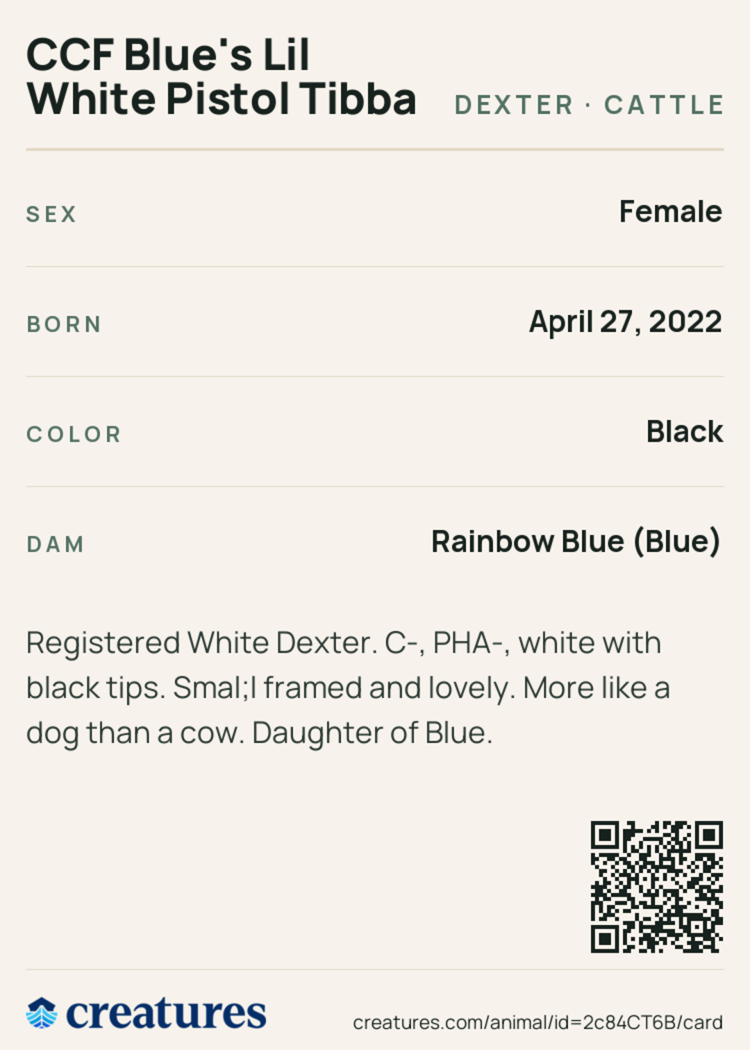 CCF Blue's Lil White Pistol Tibba Creature Card back