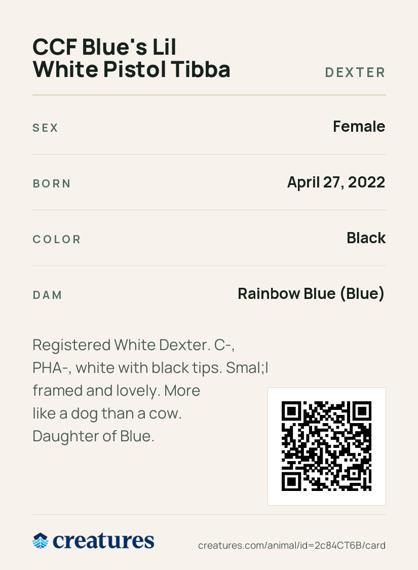 CCF Blue's Lil White Pistol Tibba Creature Card back