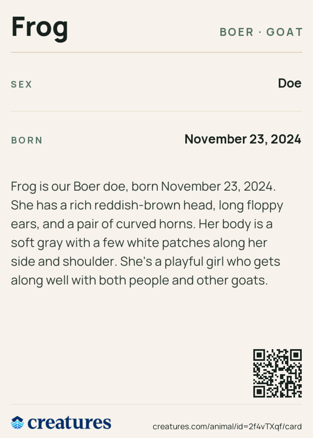 Frog Creature Card back
