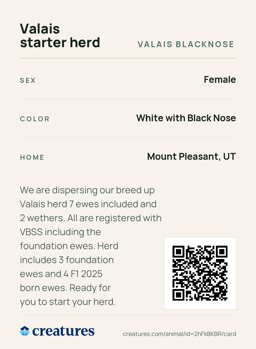 Valais starter herd Creature Card back