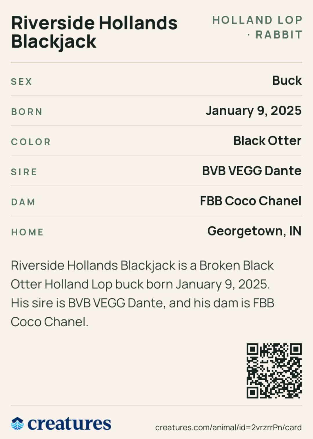Riverside Hollands Blackjack Creature Card back
