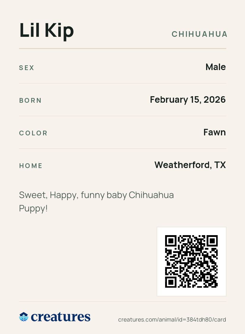 Lil Kip Creature Card back