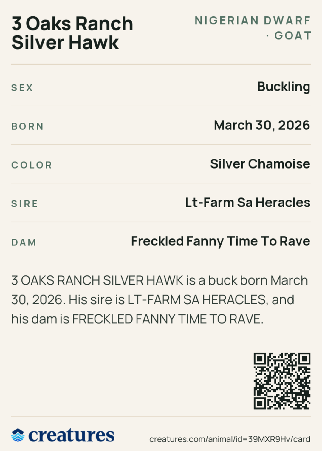 3 Oaks Ranch Silver Hawk Creature Card back