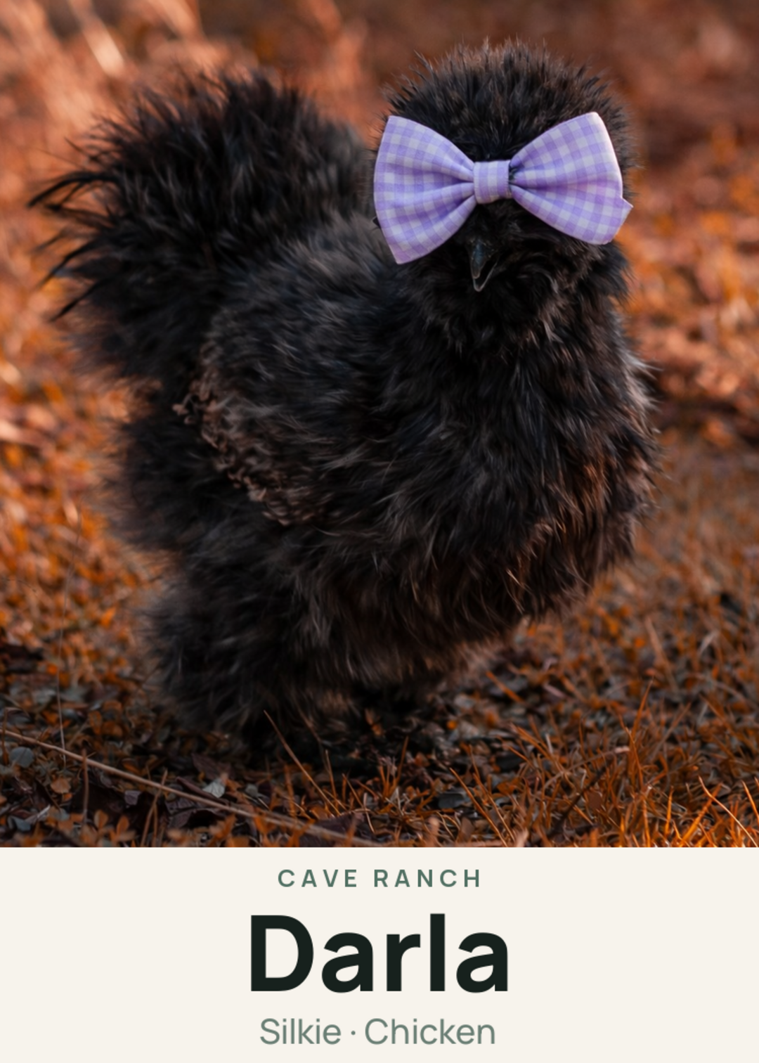Darla Creature Card