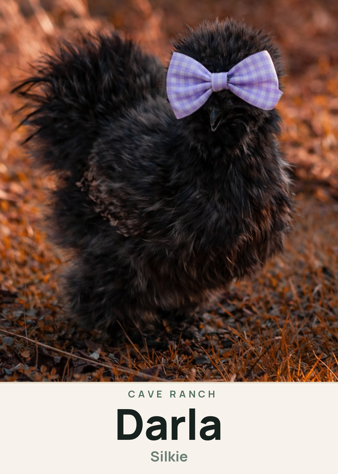 Darla Creature Card