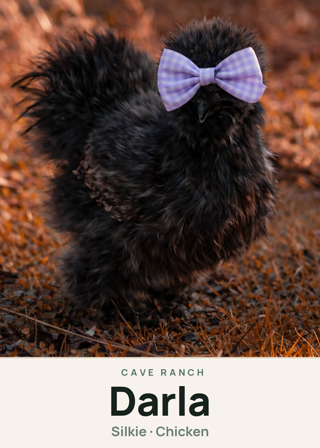 Darla Creature Card