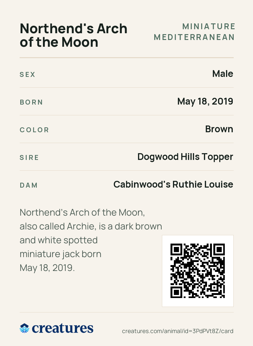 Northend's Arch of the Moon Creature Card back