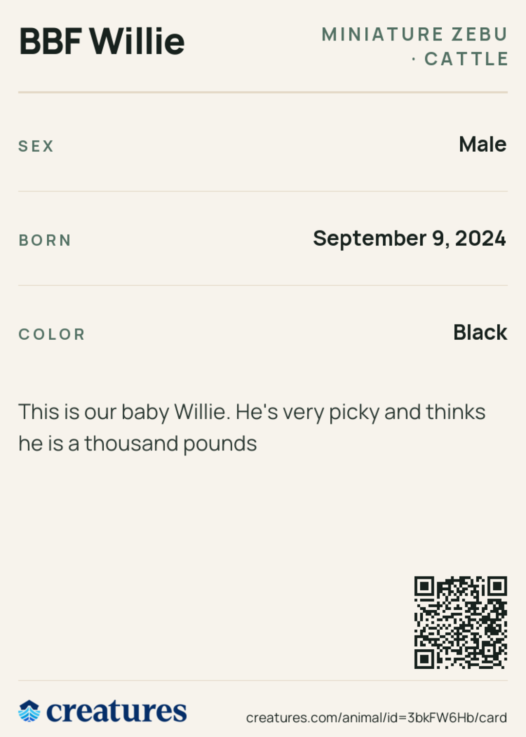 BBF Willie Creature Card back