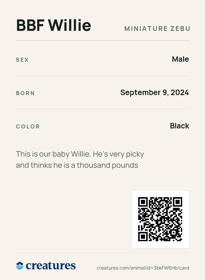 BBF Willie Creature Card back