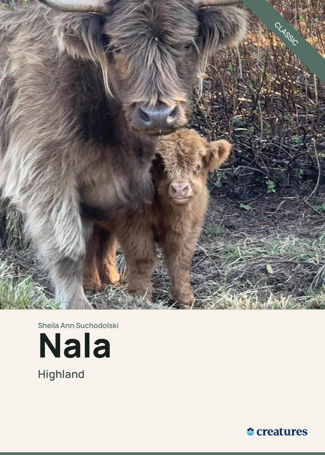 Nala Creature Card