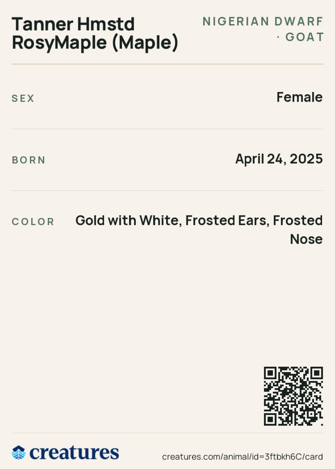 Tanner Hmstd RosyMaple (Maple) Creature Card back